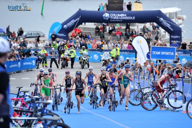 International Round Up – Stockholm & Holten